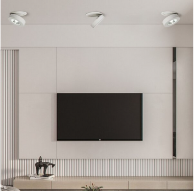 Đèn Led Gắn Nổi Góc Xoay 90 Độ 12w EC-LN69