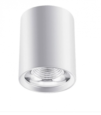 Đèn Gắn Nổi Led COB 20w EC-LN123