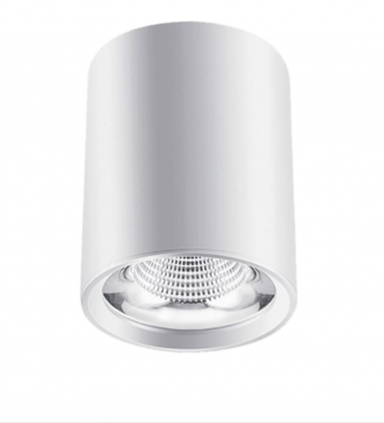 Đèn Gắn Nổi Led COB 30w EC-LN124