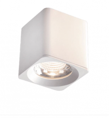 Đèn Gắn Nổi Led COB 30w EC-LN134