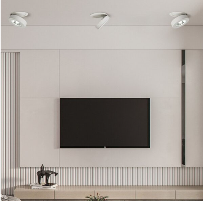 Đèn Led Gắn Nổi Góc Xoay 90 Độ 12w EC-LN69