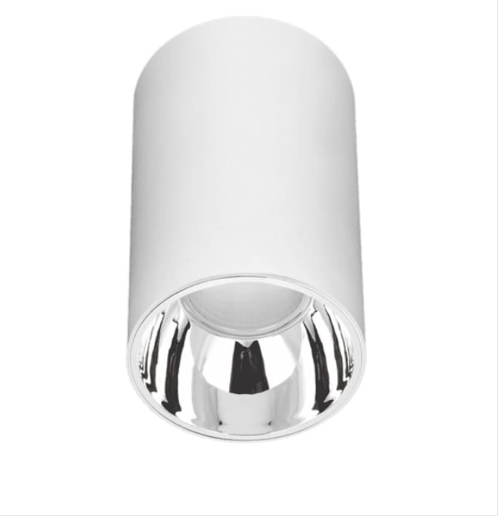 Đèn Gắn Nổi Trong Nhà Ngoài Trời Led COB 30w EC-LN93