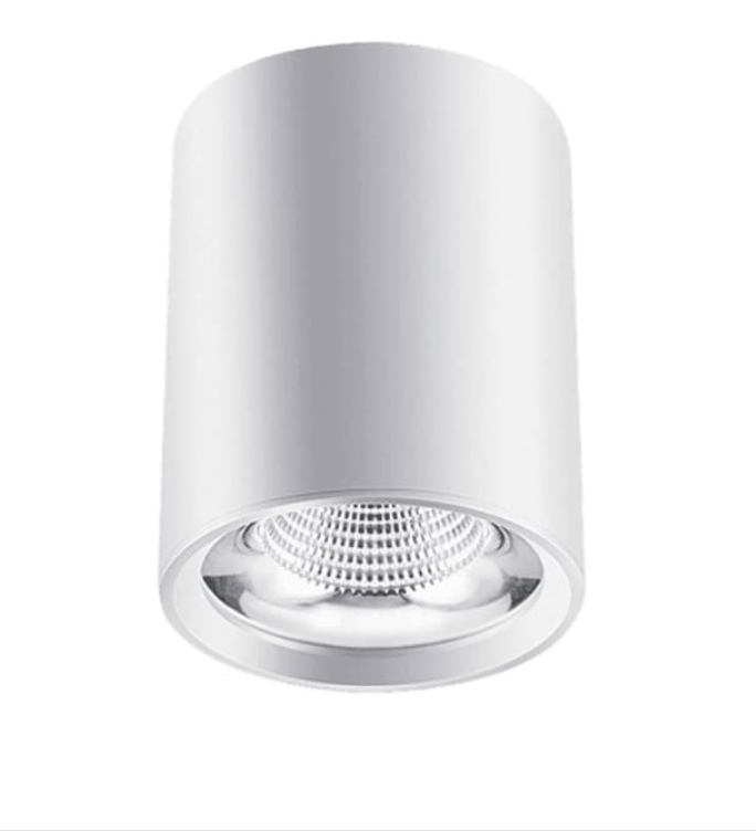 Đèn Gắn Nổi Led COB 30w EC-LN124