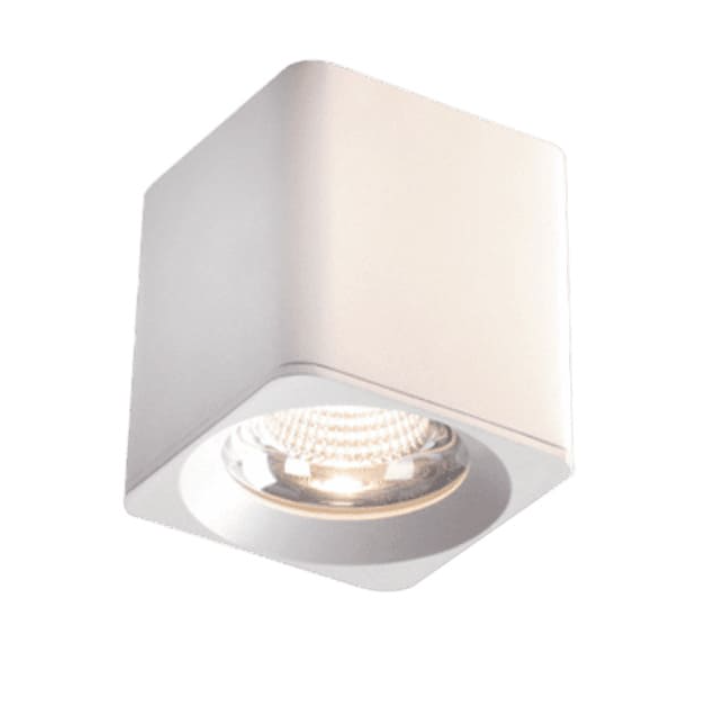 Đèn Gắn Nổi Led COB 20w EC-LN133