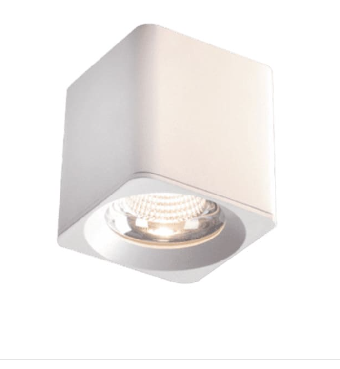 Đèn Gắn Nổi Led COB 30w EC-LN134
