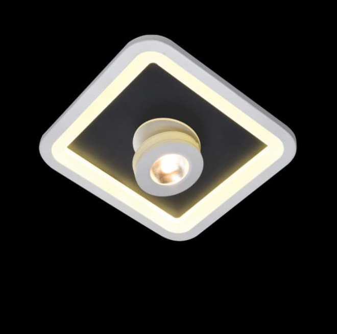 Đèn Ốp Trần Chiếu Shop Và Cửa Hàng 240mm EC-BT116
