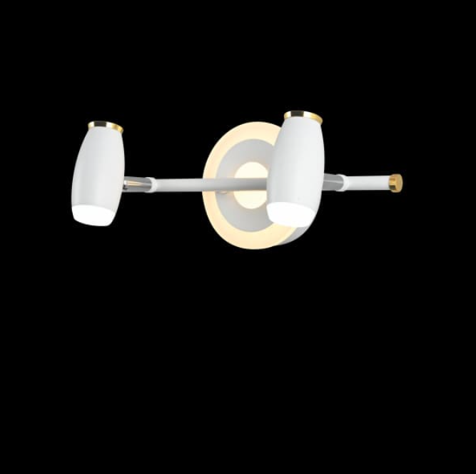 Đèn Soi Tranh LED L300mm EC22-S19/2