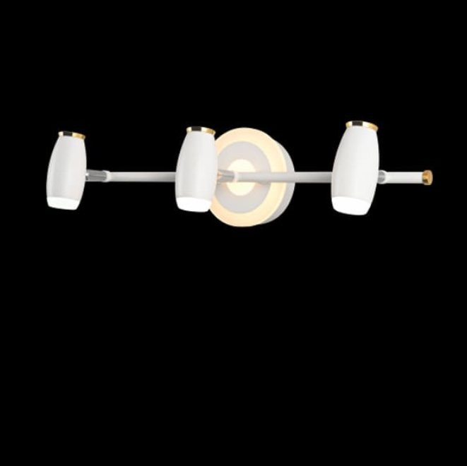 Đèn Soi Tranh LED L460mm EC22-S19/3